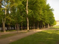 Hofgarten