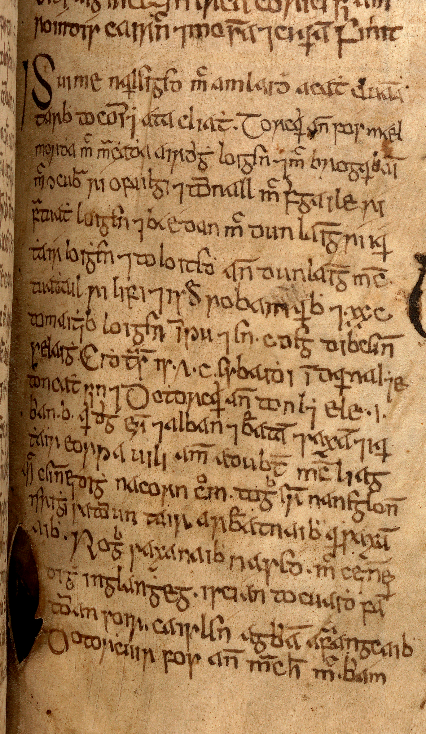 TCD H.2.7. (MS 1298) p. 245b